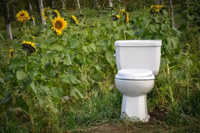 Can Human Urine Fertilize Our Crops?