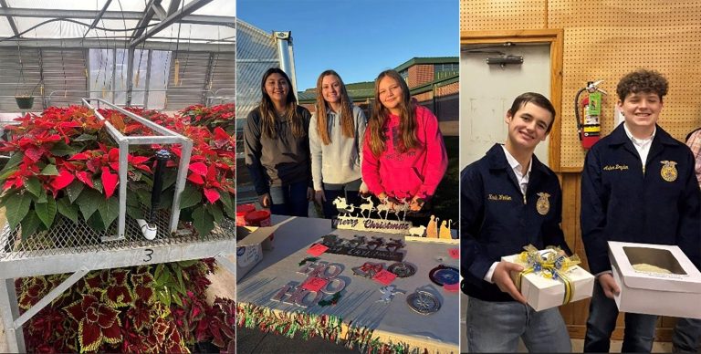 FFA chapters spread holiday cheer with festive fundraisers