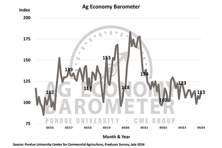 Farmer sentiment improves despite financial performance concerns