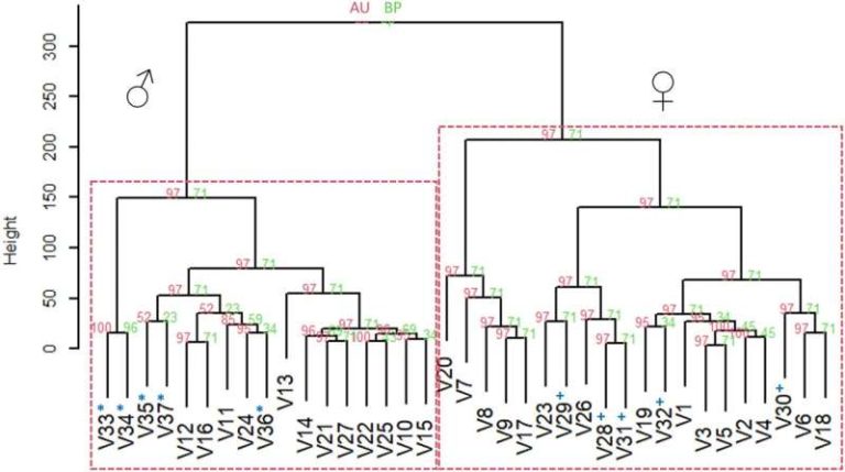 The Future of Tick Control: Identifying Genetic Tools to Control Cattle Fever Ticks