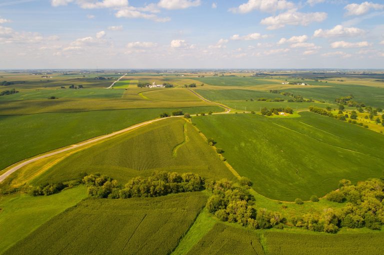 Diversified cropping systems don’t deliver on soil sequestration