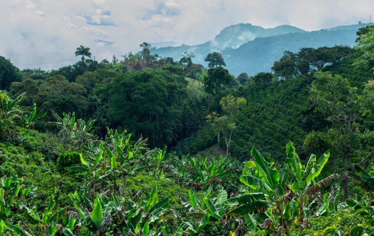 Can Colombia become an agrifoodtech powerhouse in 2025?