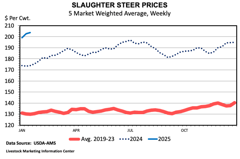 Cattle Prices Hit New Highs to Start 2025