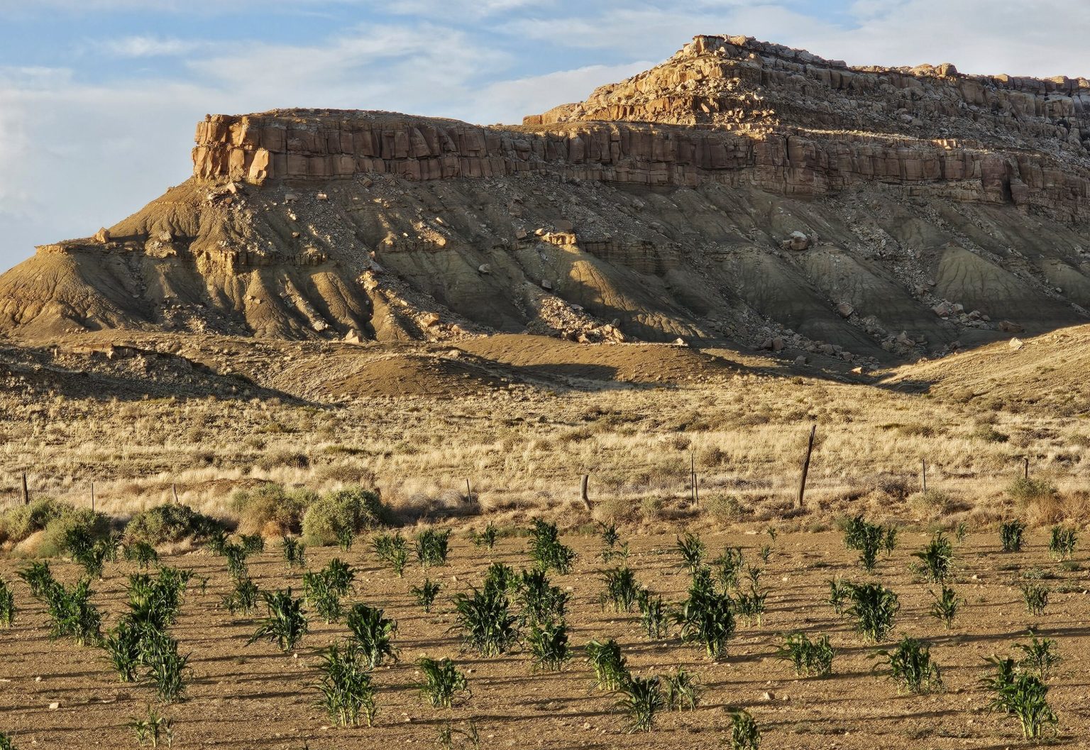 Dry Farming Brings Crops to the Desert, No Irrigation Required