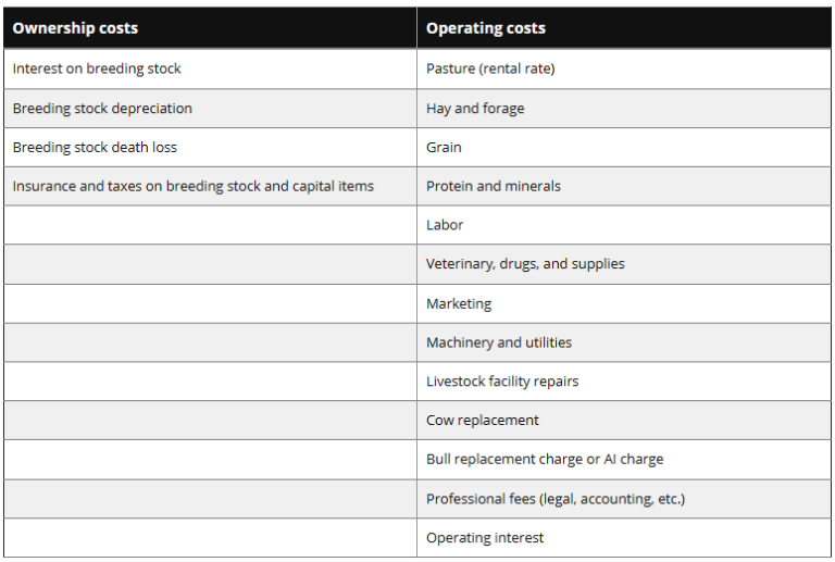 Introduction to Beef Cow Leases