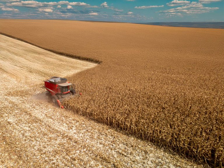 The Effects of Harvesting and Storage