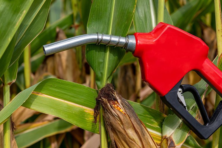 The process of producing ethanol from agriculture