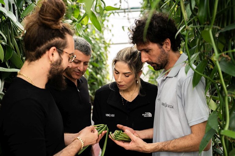 Vanilla Vida celebrates world’s 1st large-scale indoor vanilla harvest