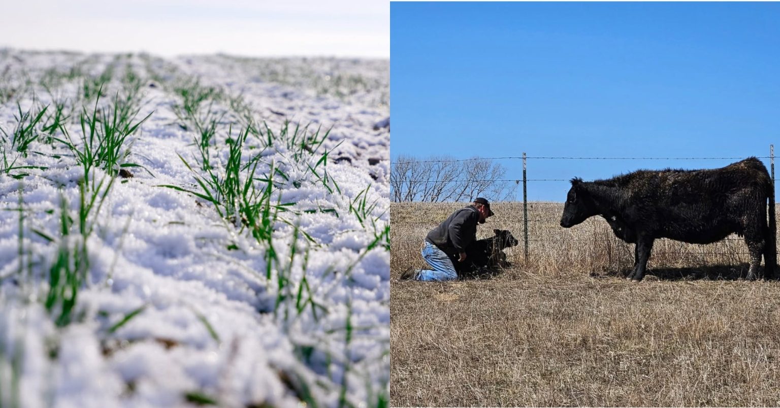 Ag on Instagram: The week’s best photos on Feb. 7, 2025