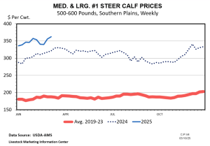 Don’t Underestimate the Cost of Late Calving Cows