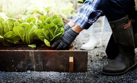 How to Care for Your Garden in Unpredictable Weather