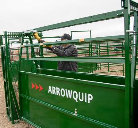 Low-stress cattle handling: Management and equipment choice