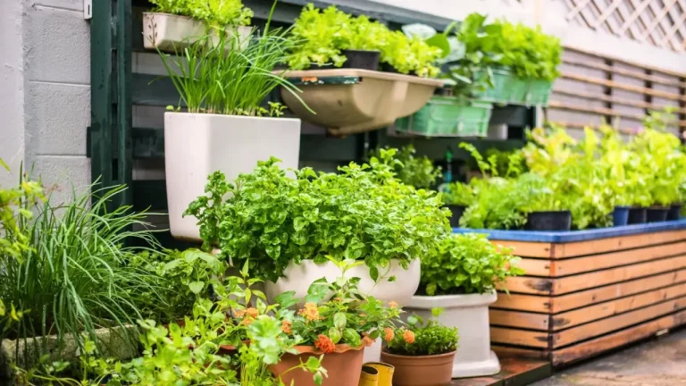 Repurposing Urban Spaces for Farming: 7 Creative Ideas