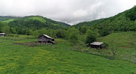 Securing the future of a family’s North Carolina farm