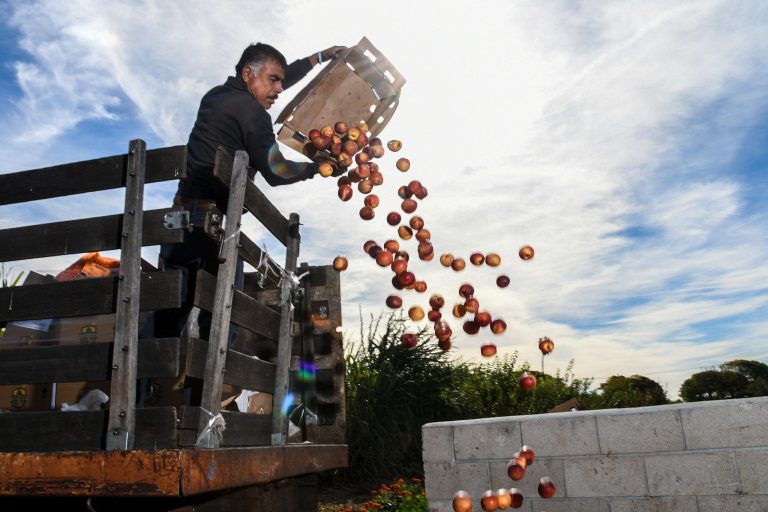 U.S. produces plenty of food — other factors make us food insecure